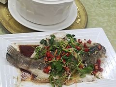-柳周农家菜特色老店沙田柚美食(东大街店)