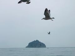 -棒棰岛宾馆景区