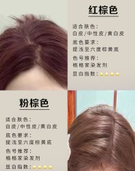 -KS COLOUR漂色·染发·画染