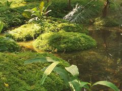 -成都市活水公园