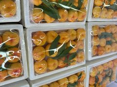 -东方鼎信农副产品交易中心