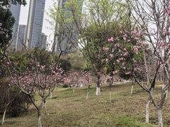 -聚龙山公园