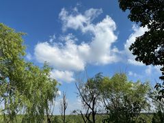 -上海吴淞炮台湾国家湿地公园