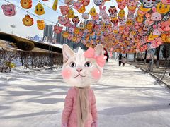 -沈阳奥体冰雪嘉年华