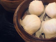 -添运来(茶园奥园广场店)