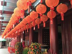 -新加坡佛牙寺龙华院