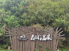 -崇阳三特浪口温泉