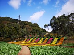 -广州市石门国家森林公园