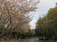 -白塘生态植物园