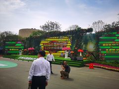 -苏州乐园森林水世界