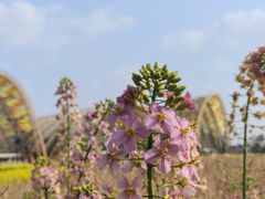 -中国天府农业博览园