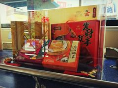 -广州都市观光巴士(粤陶巴)