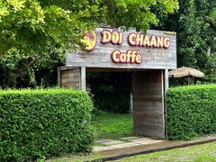 -DOI CHAANG Caffè Maesuai