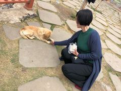 -泸沽湖国家级风景名胜区走婚桥