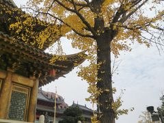 -上海东林寺(金山区)