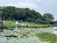 -荷塘月色湿地公园·向阳花洲