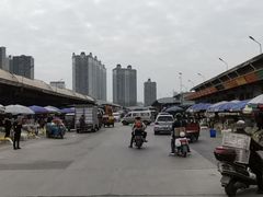 -海吉星市场