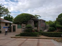 -古榕公园