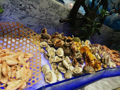 -瑞德姆美人鱼海底演艺主题餐厅(亚龙湾店)