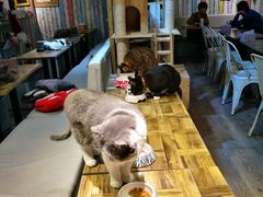 -小时光咖啡馆(开森度假森林店)