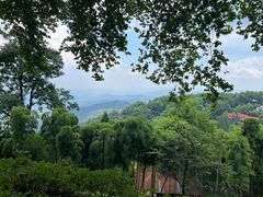 -莫干山风景区