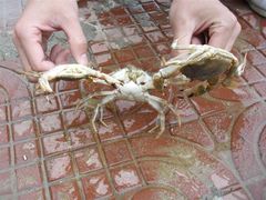 -东戴河风景区-止锚湾