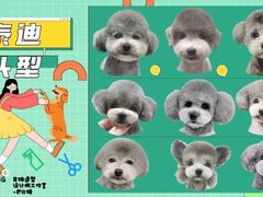 -BABIT巴比特宠物(MOMOPARK店)