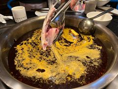 -花鲢鱼头火锅(春城东路店)