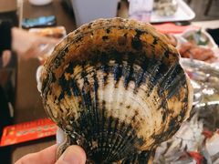 大扇贝-钱库里海鲜自助(星海广场店)