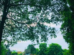 -森波拉火山温泉