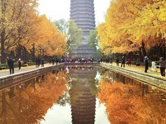 -玲珑塔公园