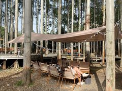 -桉树林A coffee 森林餐厅(三圣乡店)