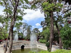 -大觉寺-停车场
