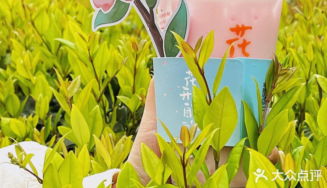 无锡｜年轻人都爱喝的中式茶饮🌸