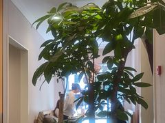 -鹿港小镇(黄金店)