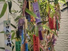 -千秋未来日韩语(天府五街校区)