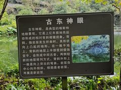 -桂林古东瀑布景区