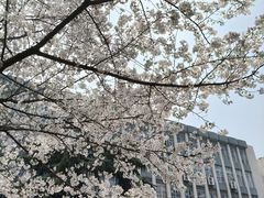 -前进5路汉堡炸鸡(昙华林店)