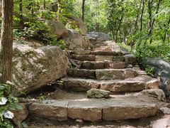 -大岭沟猕猴桃谷风景区
