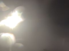 -阳澄湖半岛旅游度假区
