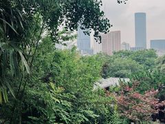 -戏马台景区