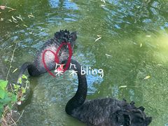 -济南野生动物世界