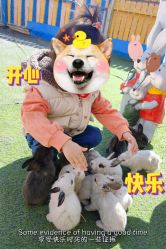 -萌宠亲子动物乐园(槐房万达店)