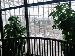 -北方家宴(番禺永旺店)