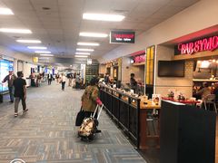 -华盛顿杜勒斯国际机场