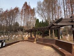 -前关湿地公园