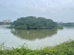 -海珠湖公园