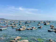 -海源公园