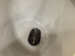 -九忠祥小笼馆(保利时光里店)