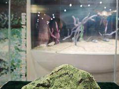 -中国第四纪冰川遗迹陈列馆